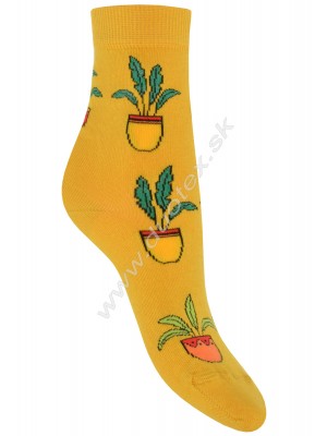 Dámske ponožky w84.01p-vz.268