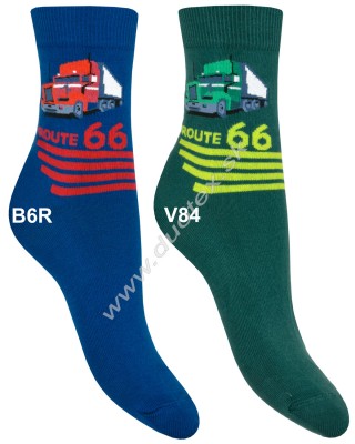 Vzorované ponožky g44.n01-vz.245