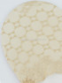 Dámske šľapky N-SN053-W02