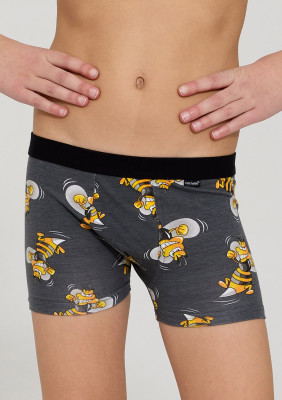 Boxerky Cornette Boxer700/156-Hornet2