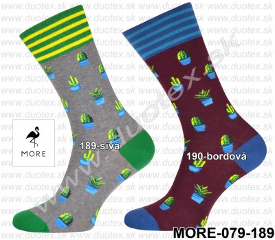 Pánske ponožky More-079-189